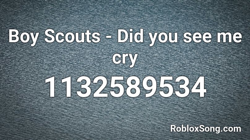 Boy Scouts - Did you see me cry Roblox ID