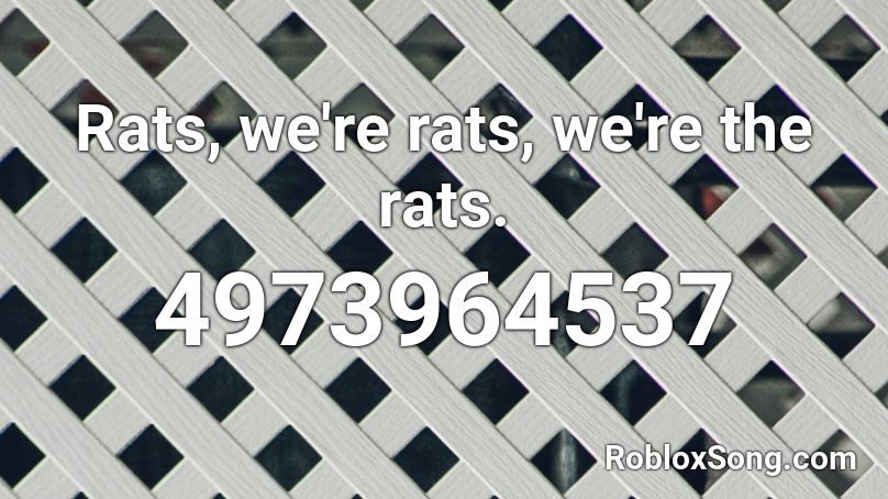Rats, we're rats, we're the rats. Roblox ID