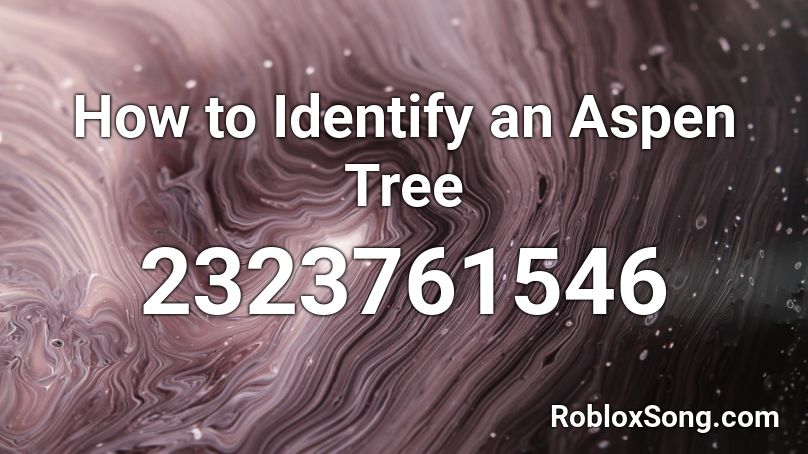 How to Identify an Aspen Tree Roblox ID