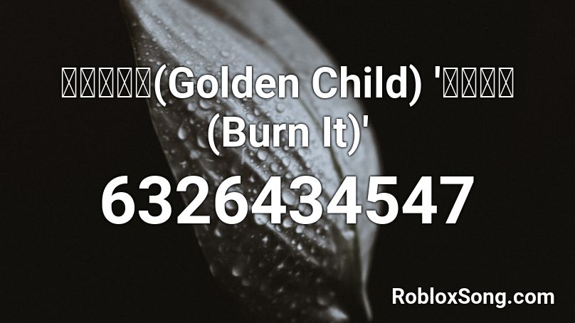 골든차일드(Golden Child) '안아줄게(Burn It)' Roblox ID