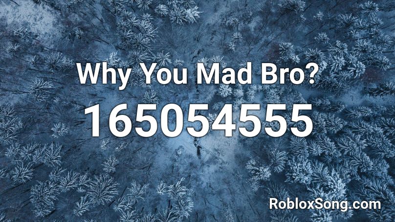 Why You Mad Bro? Roblox ID