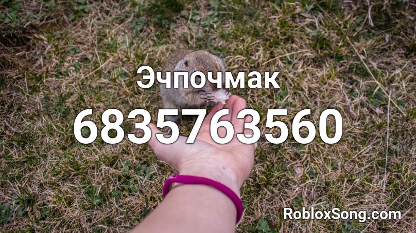 Эчпочмак Roblox ID