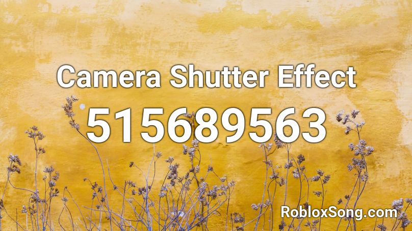 Camera Shutter Effect Roblox ID