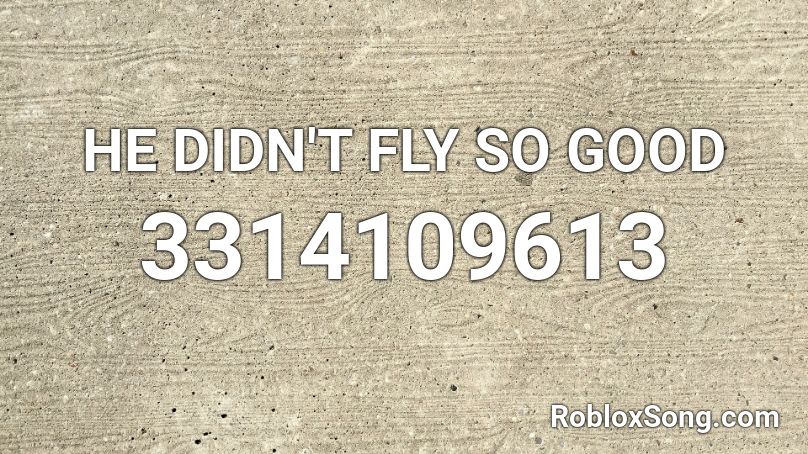 HE DIDN'T FLY SO GOOD Roblox ID