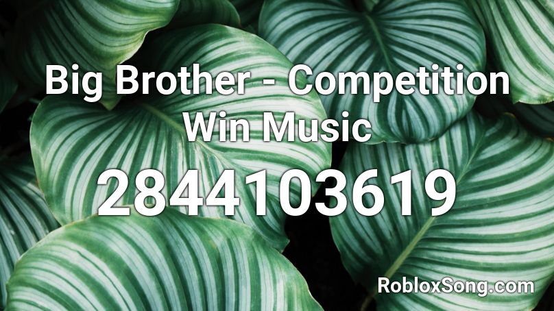 Big Brother - Competition Win Music Roblox ID