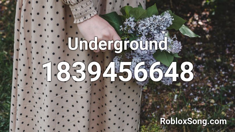 Underground Roblox ID