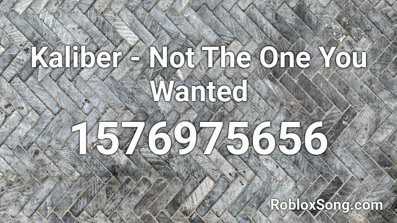 Kaliber - Not The One You Wanted Roblox ID