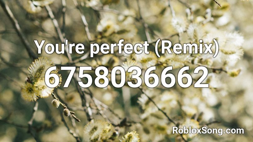 You're perfect (Remix) Roblox ID