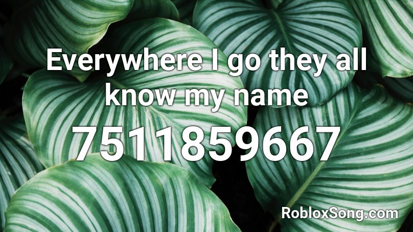 Everywhere I go they all know my name Roblox ID