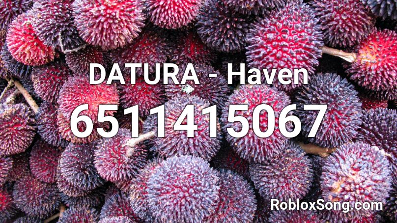 DATURA - Haven Roblox ID