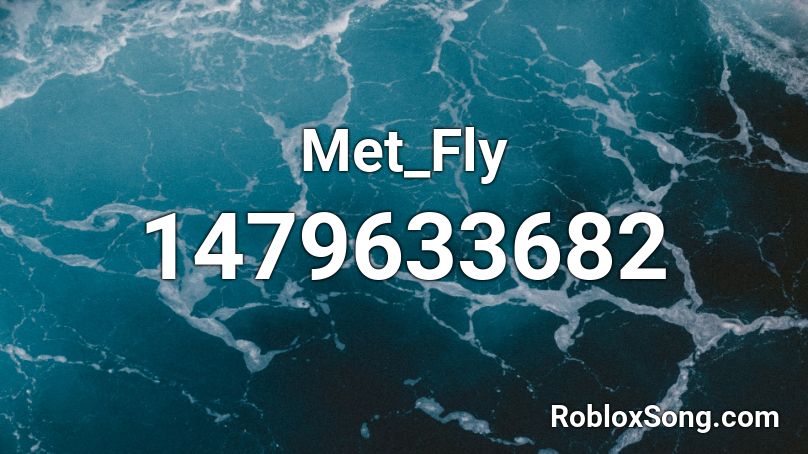 Met_Fly Roblox ID