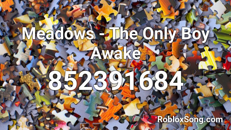 Meadows - The Only Boy Awake Roblox ID