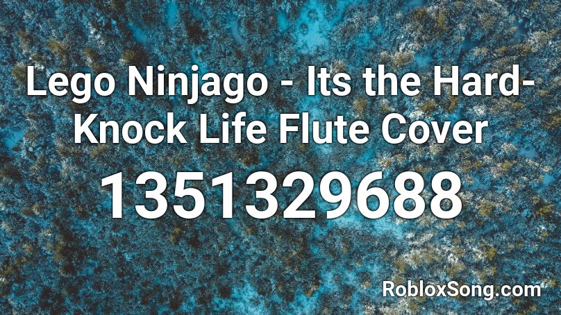 Lego Ninjago - Its the Hard-Knock Life Flute Cover Roblox ID