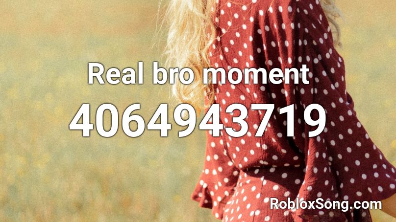 Real bro moment Roblox ID