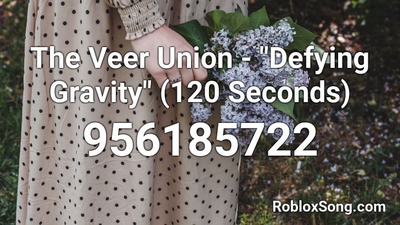 The Veer Union - 