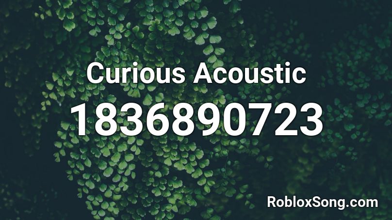 Curious Acoustic Roblox ID