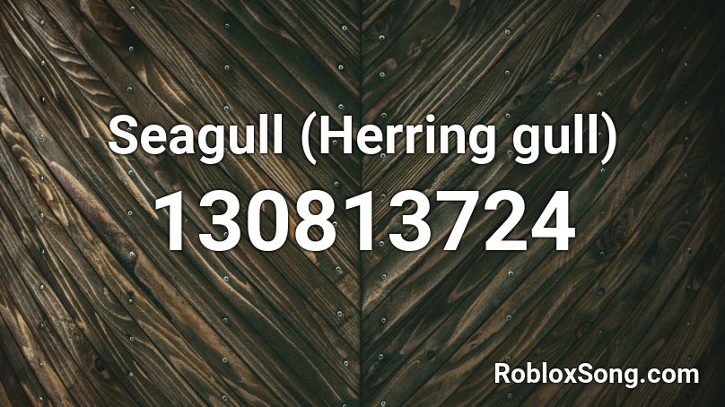 Seagull (Herring gull) Roblox ID