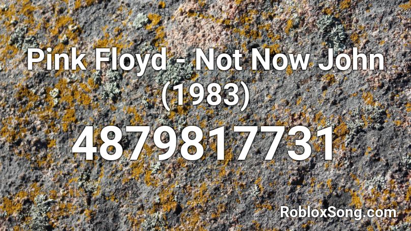 Pink Floyd - Not Now John (1983) Roblox ID