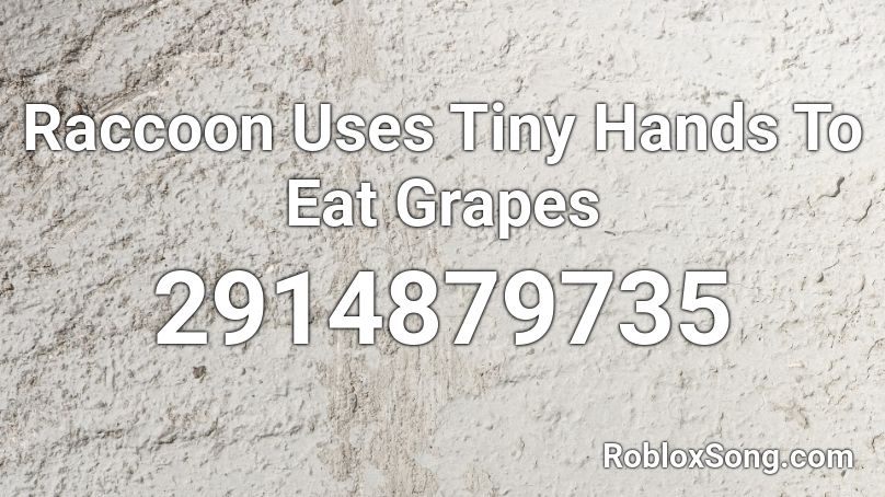 Raccoon Uses Tiny Hands To Eat Grapes Roblox ID