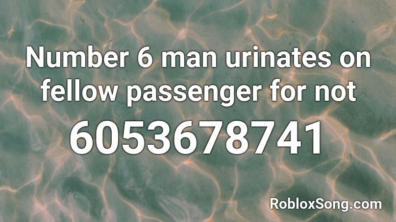 Number 6 man urinates on fellow passenger for not  Roblox ID