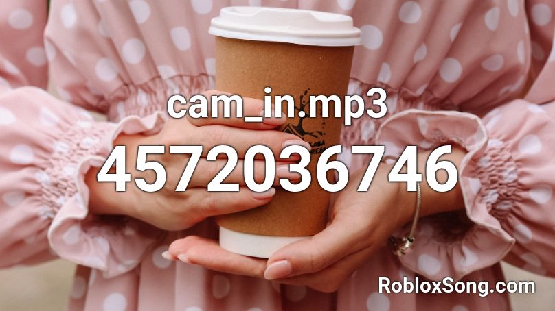 cam_in.mp3 Roblox ID