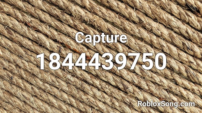 Capture Roblox ID