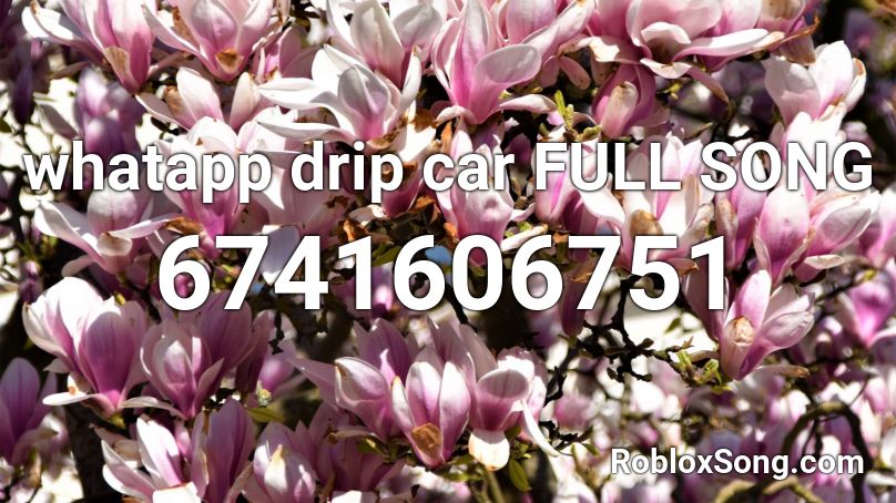 whatapp drip car  FULL SONG Roblox ID