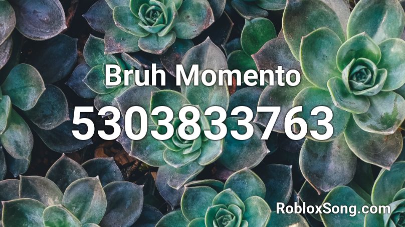 Bruh Momento Roblox ID