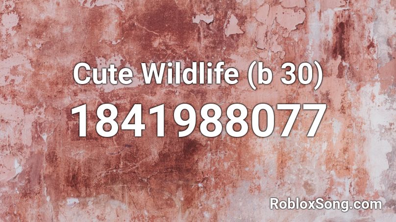 Cute Wildlife (b 30) Roblox ID