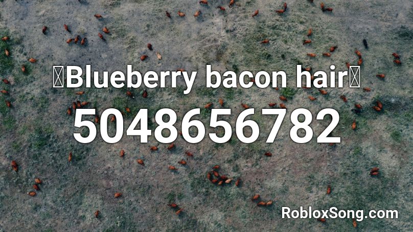 🥓Blueberry bacon hair🥓 Roblox ID