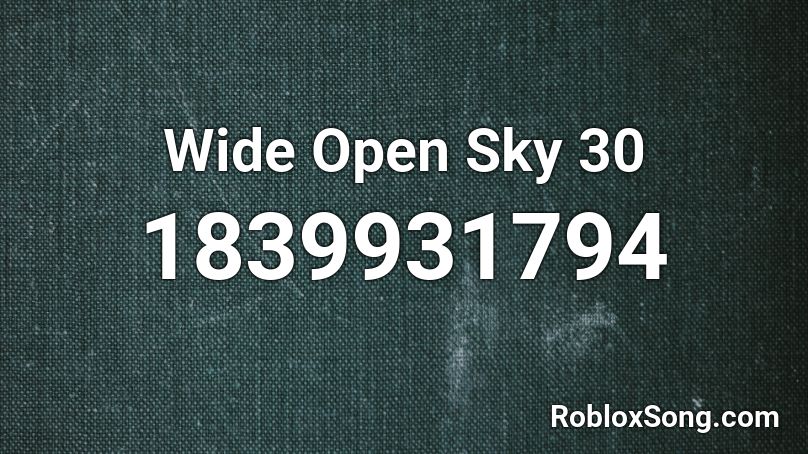 Wide Open Sky 30 Roblox ID