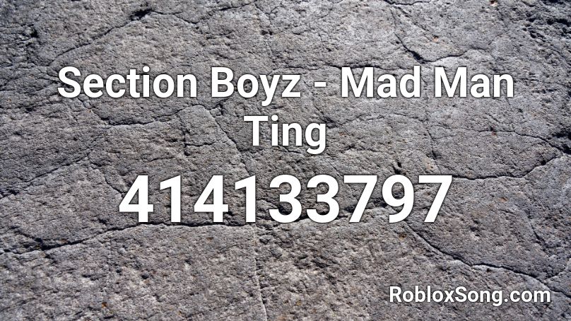 Section Boyz - Mad Man Ting Roblox ID