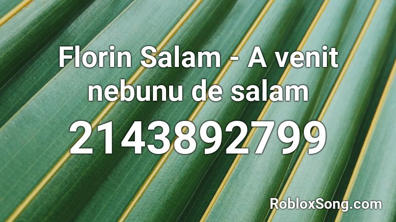 Florin Salam - A venit nebunu de salam Roblox ID