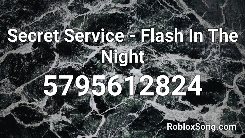 Secret Service - Flash In The Night Roblox ID