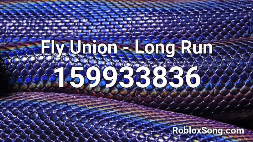 Fly Union - Long Run Roblox ID