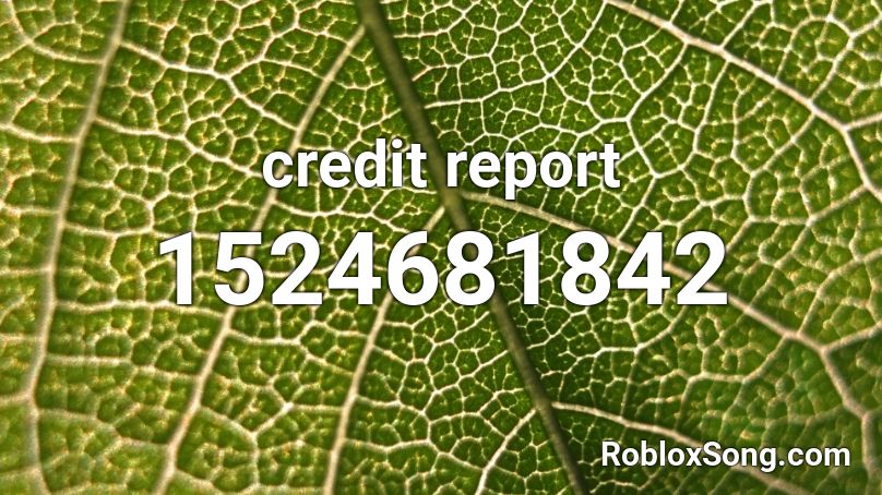 credit report Roblox ID