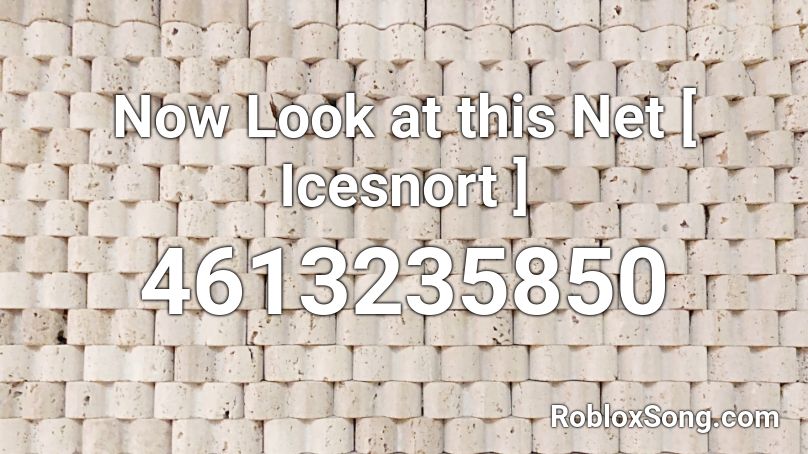 Now Look at this Net [ Icesnort ] Roblox ID
