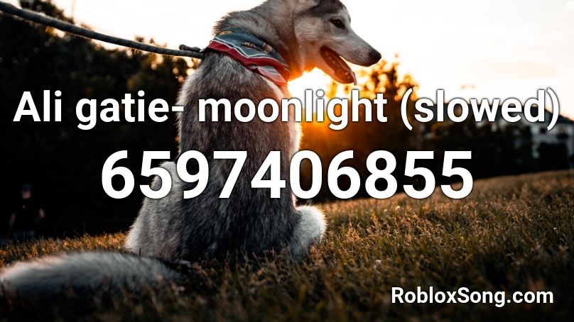 Ali gatie- moonlight (slowed) Roblox ID