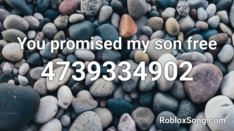 You promised my son free Roblox ID