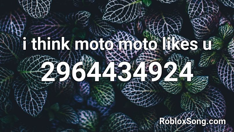 i think moto moto likes u Roblox ID
