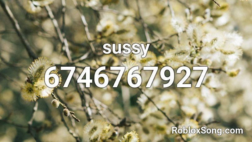 sussy Roblox ID
