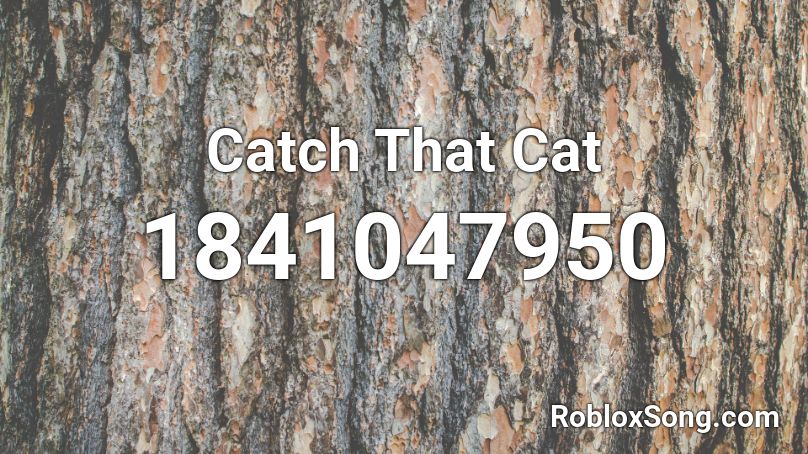 Catch That Cat Roblox ID