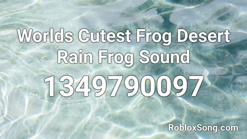 Worlds Cutest Frog  Desert Rain Frog Sound Roblox ID