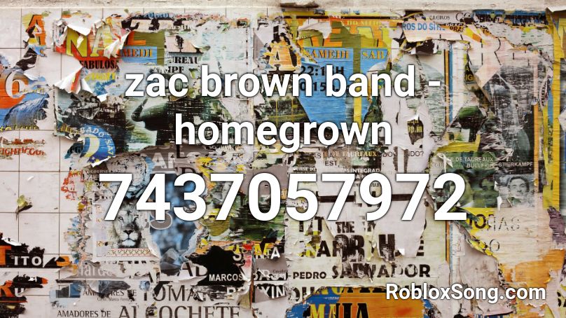 zac brown band - homegrown Roblox ID
