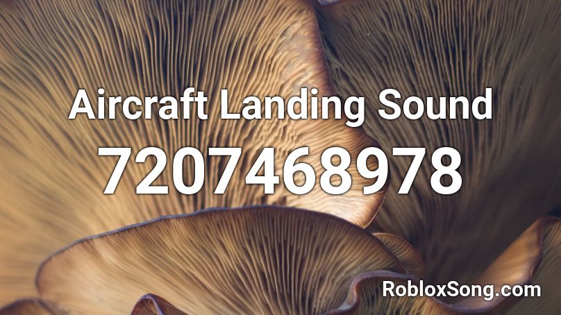 Aircraft Landing Sound Roblox ID