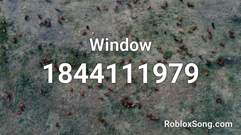 Window Roblox ID