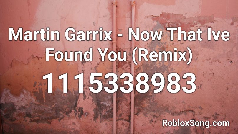 Martin Garrix - Now That Ive Found You (Remix) Roblox ID